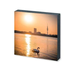 Foto "Alsterschwan" HH-149 10x10 - Kila