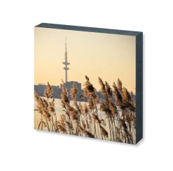 Foto "Aussenalster" 10x10 - Kila