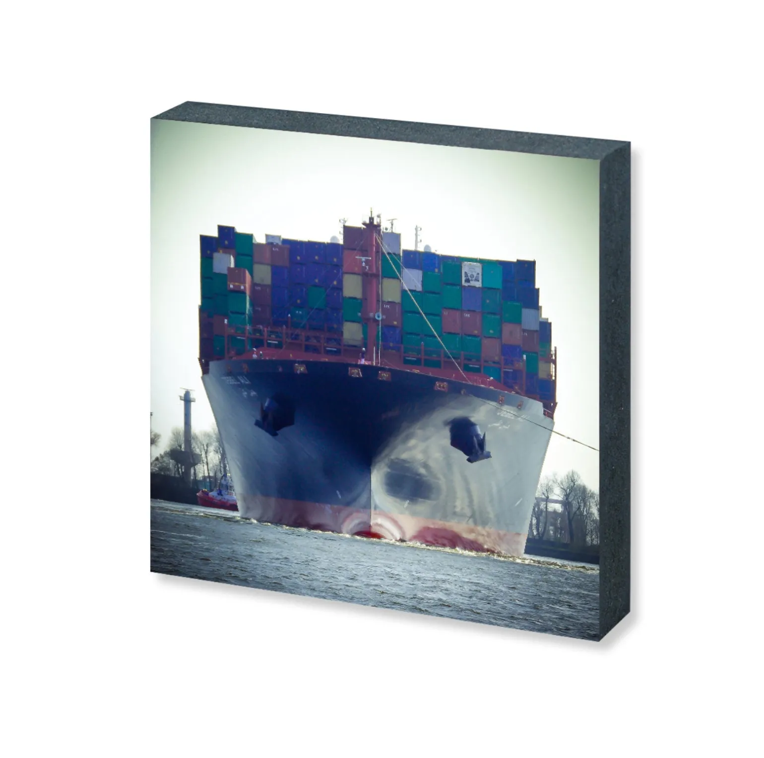 Foto "Bug" HH-22 10x10 - Kila