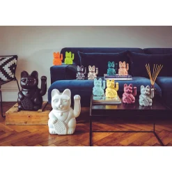 Lucky Cat moonlight - donkey products