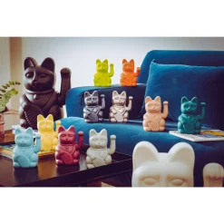 Lucky Cat moonlight - donkey products