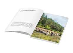 Wochenender: Lüneburger Heide. Harburg, Heidekreis, Lüneburg